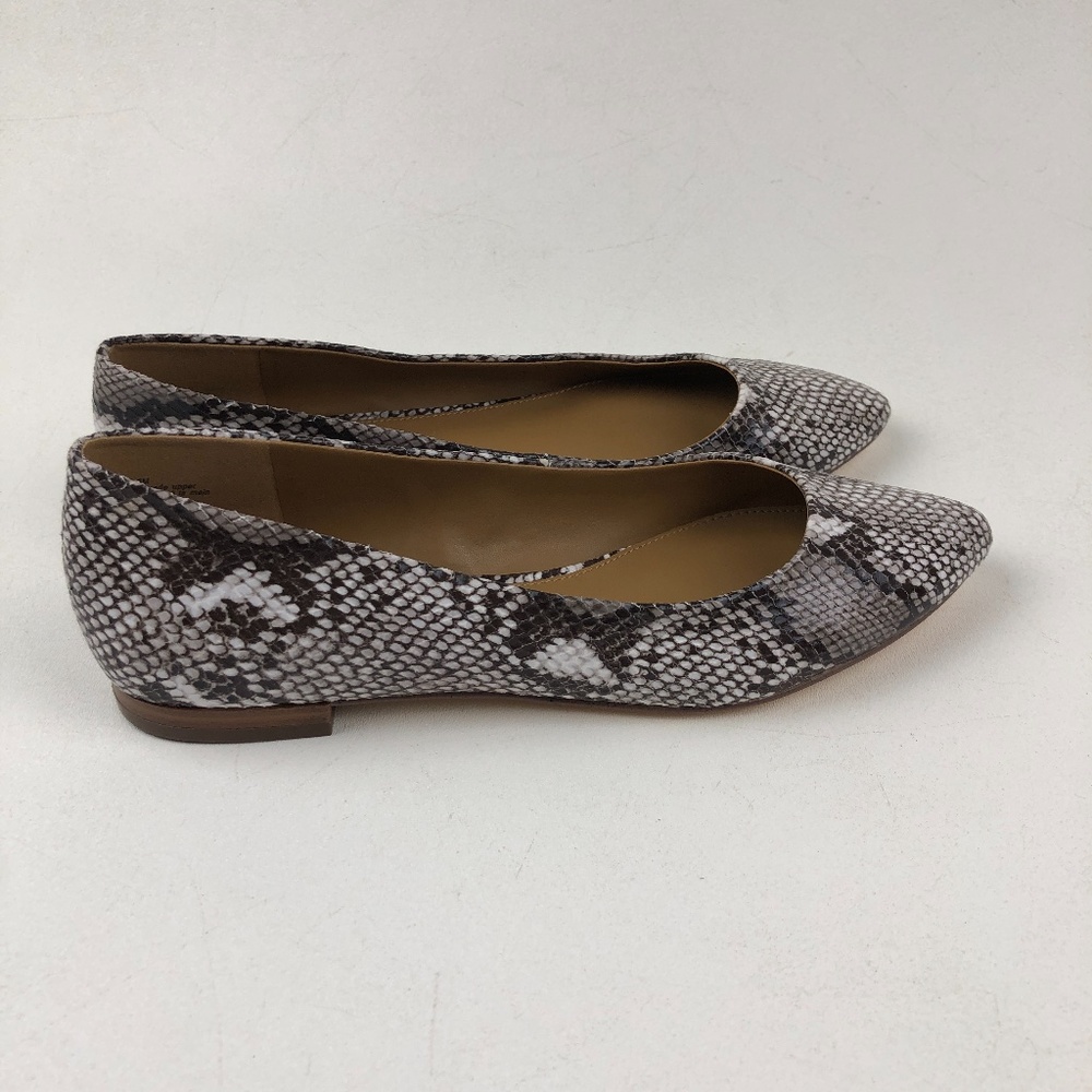 14th & Union Rowen Faux Leather Pointed Toe Flat